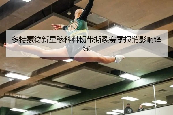 多特蒙德新星穆科科韧带撕裂赛季报销影响锋线